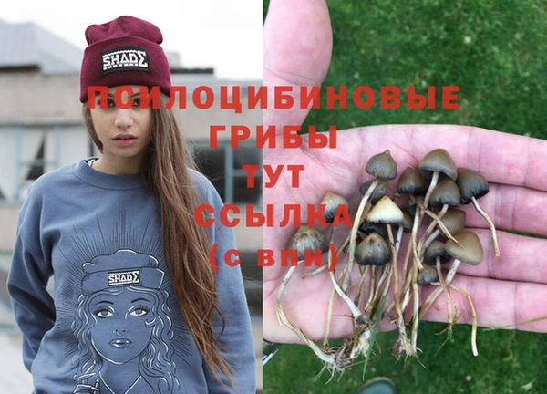 марки nbome Баксан