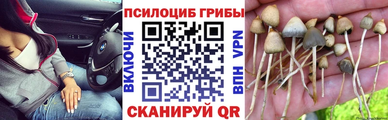 Галлюциногенные грибы GOLDEN TEACHER  Владимир 